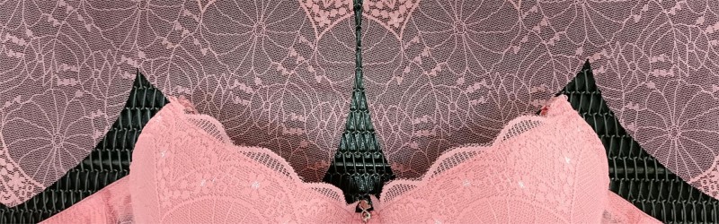 1内衣蕾丝专用激光切割解决方案